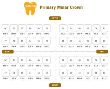 Коронки I CROWN Refill ELL-7 из нержавеющей стали детские (5 шт) Seil Global