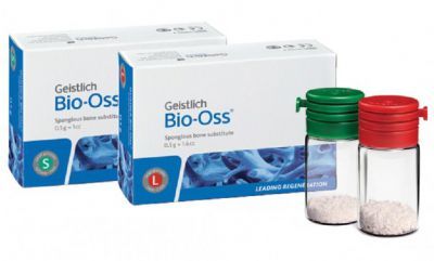 Bio-Oss spongiosa- гранулы 1г (0,25-1мм) S