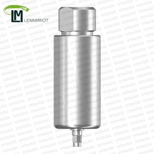 Заготовка индивидуального абатмента D=10 мм для холдера ARUM, совместимая с XiVE 3.0